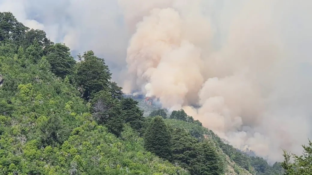 Incendio en zona del lago Martin: reporte de situación